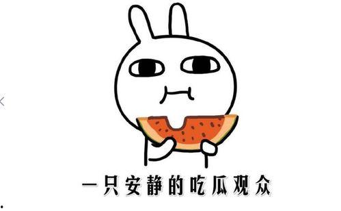 网络上吃瓜是什么意思,吃瓜群众的趣味解读